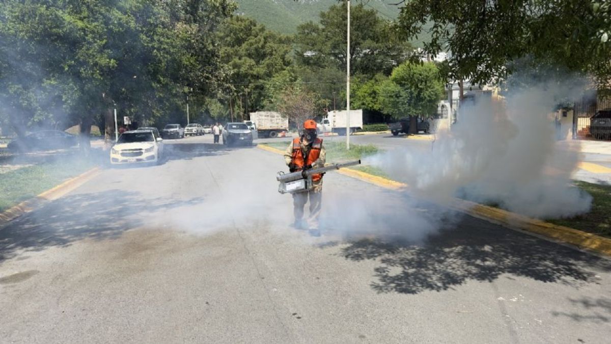 DENGUE MONTERREY FUMIGACIÓN - Informe Regio