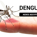 Dengue - Informe Regio