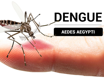 Dengue