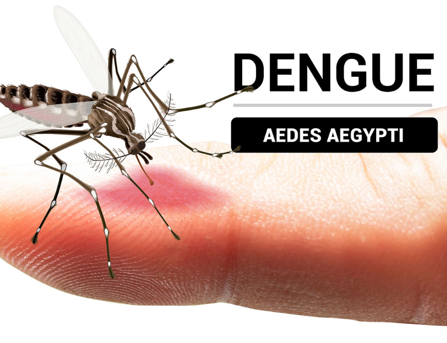 Dengue