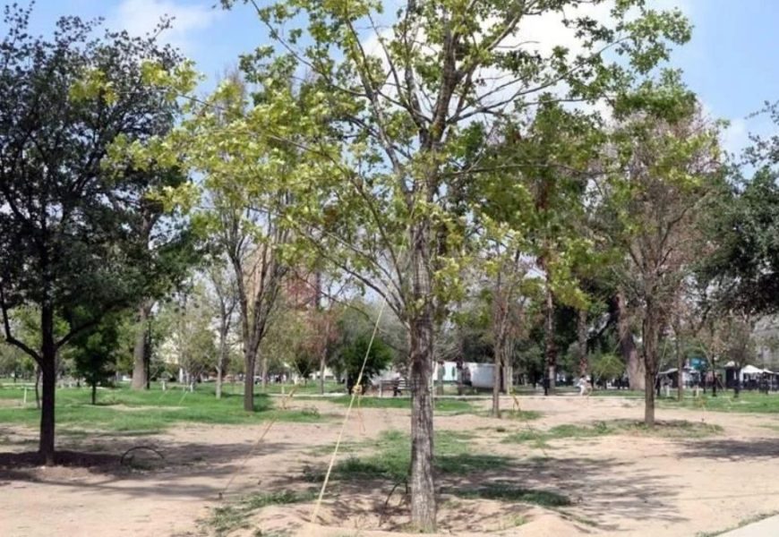 LA ALAMEDA NUEVO LEÓN - Informe Regio