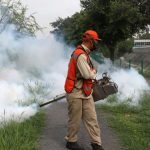 PRI DENGUE NUEVO LEÓN - Informe Regio