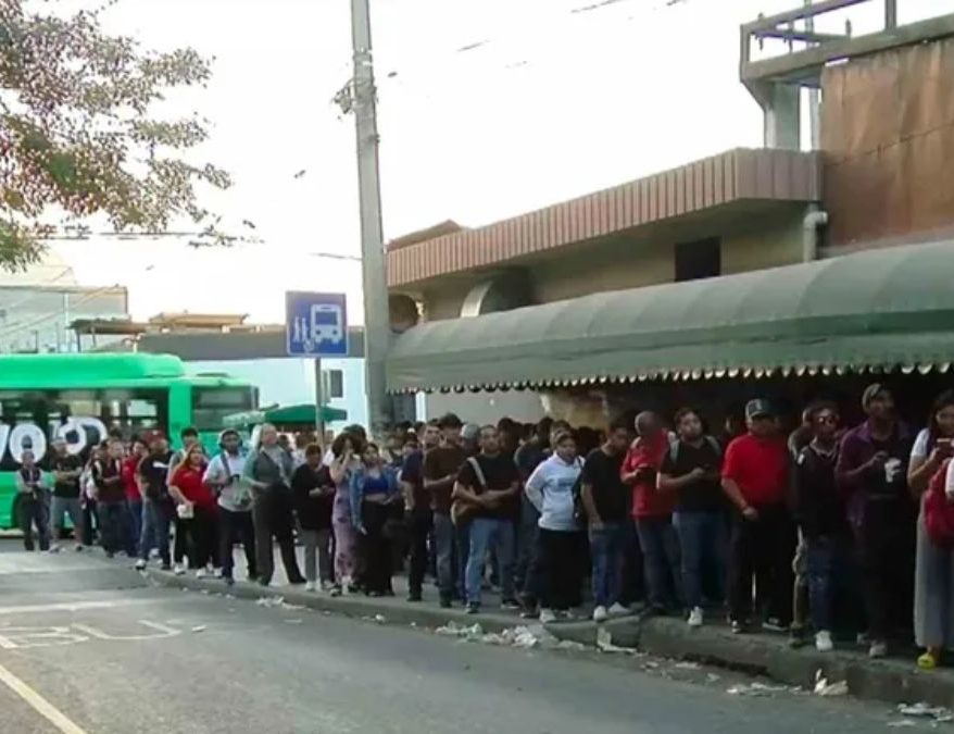 TRANSPORTE PÚBLICO NUEVO LEÓN