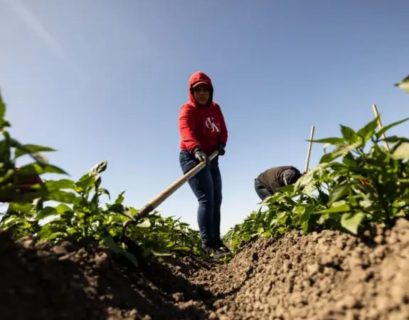 MIGRANTES ESTADOS UNIDOS