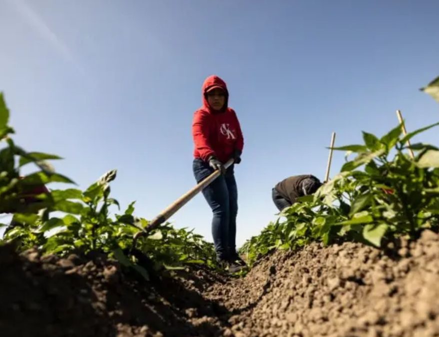 MIGRANTES ESTADOS UNIDOS