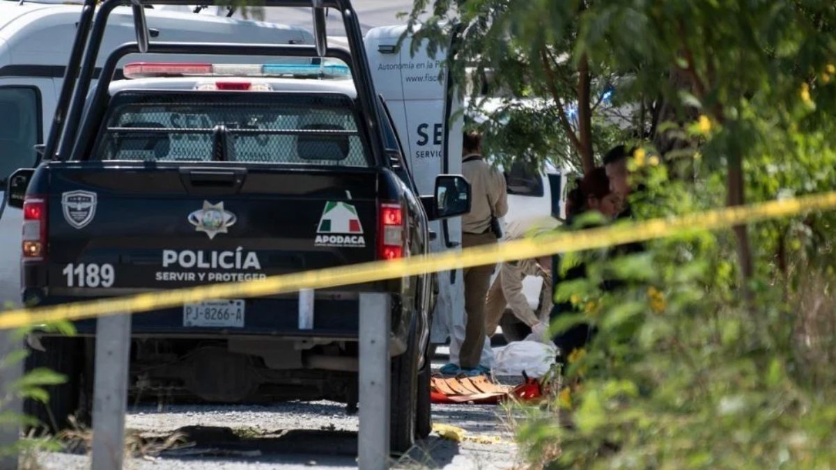 NUEVO LEÓN HOMICIDIOS - Informe Regio