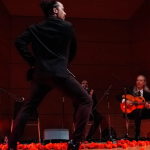 Flamenco - Informe Regio