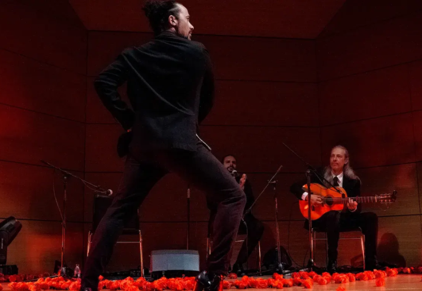 Flamenco - Informe Regio