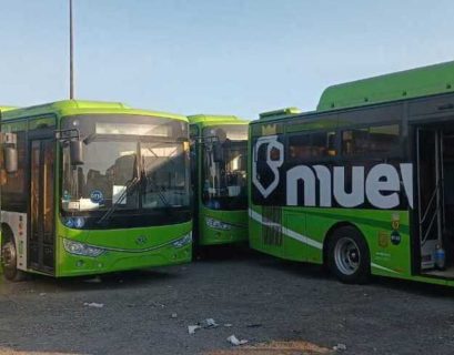 CAMIONES VERDES NUEVO LEÓN