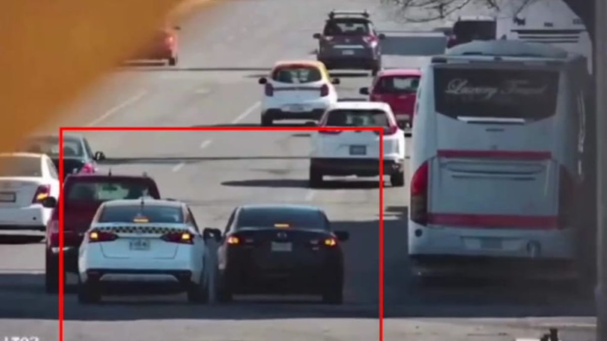 MONTACHOQUES MONTERREY SEGURIDAD C4