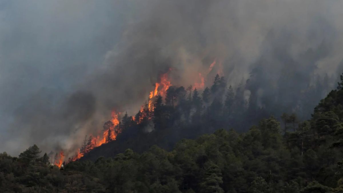 SANTIAGO INCENDIOS FORESTALES