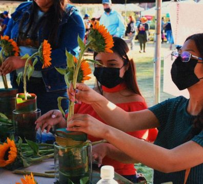 FESTIVAL DE LAS FLORES SAN PEDRO - Informe Regio