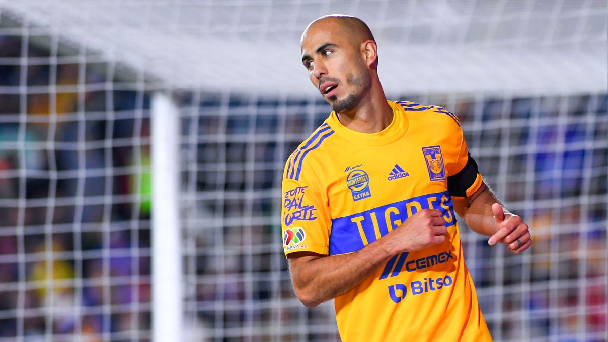 TIGRES PIZARRO - Informe Regio