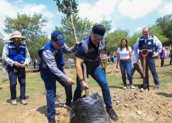 85-MIL-ÁRBOLES-MONTERREY