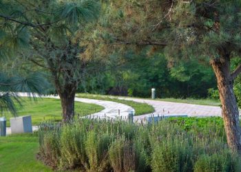 PARQUE-RUFINO-TAMAYO-SAN-PEDRO