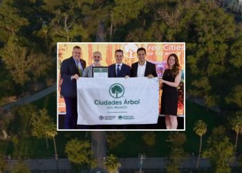 MONTERREY-CIUDAD-ÁRBOL-AMBIENTAL