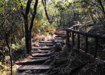 Chipinque parque ruta-gratuita