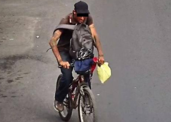 hombre-en-monterrey cámaras-del-c4 robando marihuana