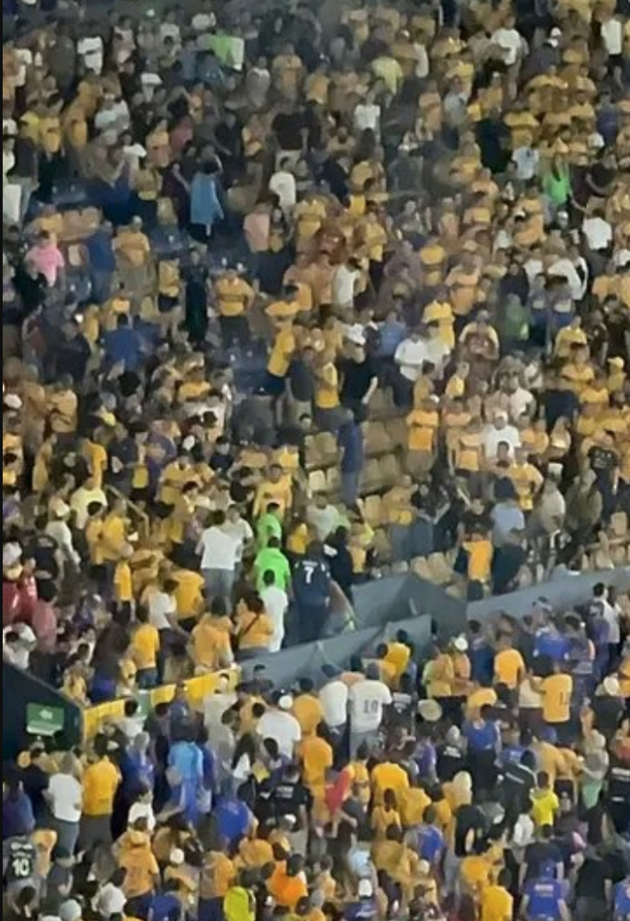 aficionados de tigres
América
partido
violencia