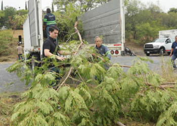 Mantenimiento, regreso a clases, escuelas públicas, estudiantes, planteles