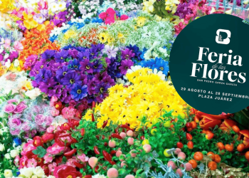 Feria De Las Flores, Plaza Juárez, Plantas, San Pedro - Informe Regio Feria de las flores plaza juárez plantas san pedro   Informe Regio