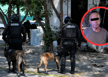 mariguana detenido, estrategia escudo