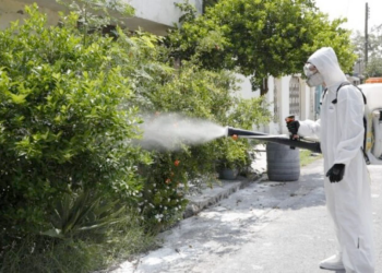 fumigación, garrapatas, prevención