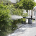 Fumigación Contra Garrapatas - Informe Regio fumigación garrapatas prevención   Informe Regio