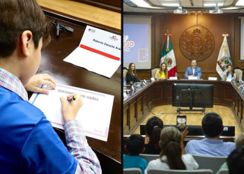 Consejo de la Niñez, Participación Infantil, Derechos Infantiles, Políticas Públicas