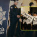 Ascensos a Policías - Informe Regio ascensos a policías tránsito seguridad gobierno de monterrey Promoción de Ascensos 2025 protección ciudadana Informe Regio