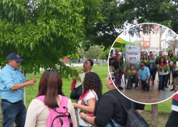 Recorrido de Arbolado, Alameda de Monterrey, conciencia ambiental, patrimonio natural