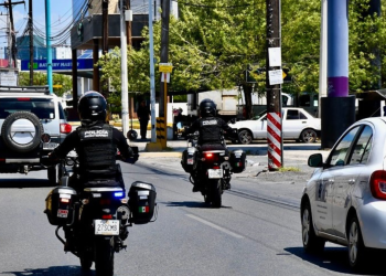 percepción de inseguridad, Monterrey, delitos de alto impacto, seguridad municipal, Escudo