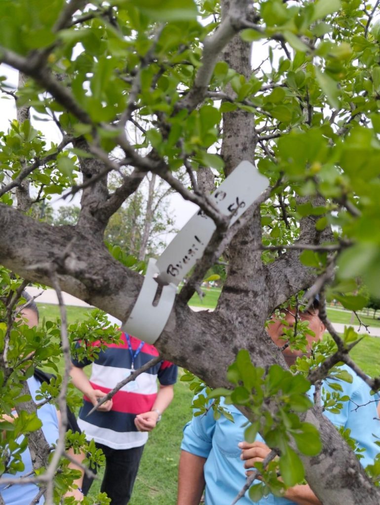 Recorrido de Arbolado Alameda de Monterrey conciencia ambiental patrimonio natural