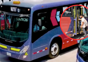 regio ruta, usuarios, circuitos, movilidad, transporte