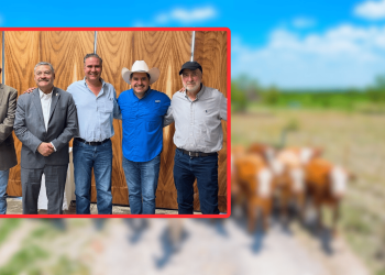 Centro De Nutrición Animal, Uanl - Informe Regio Centro de Nutrición Animal UANL innovación agropecuaria producción pecuaria investigación universitaria   Informe Regio