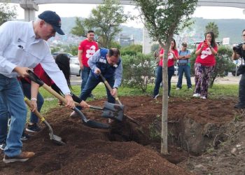 Realiza Gobierno De Monterrey Jornada De Forestación Urbana - Informe Regio - Informe Regio REFORESTACIÓN URBANA MONTERREY   Informe Regio