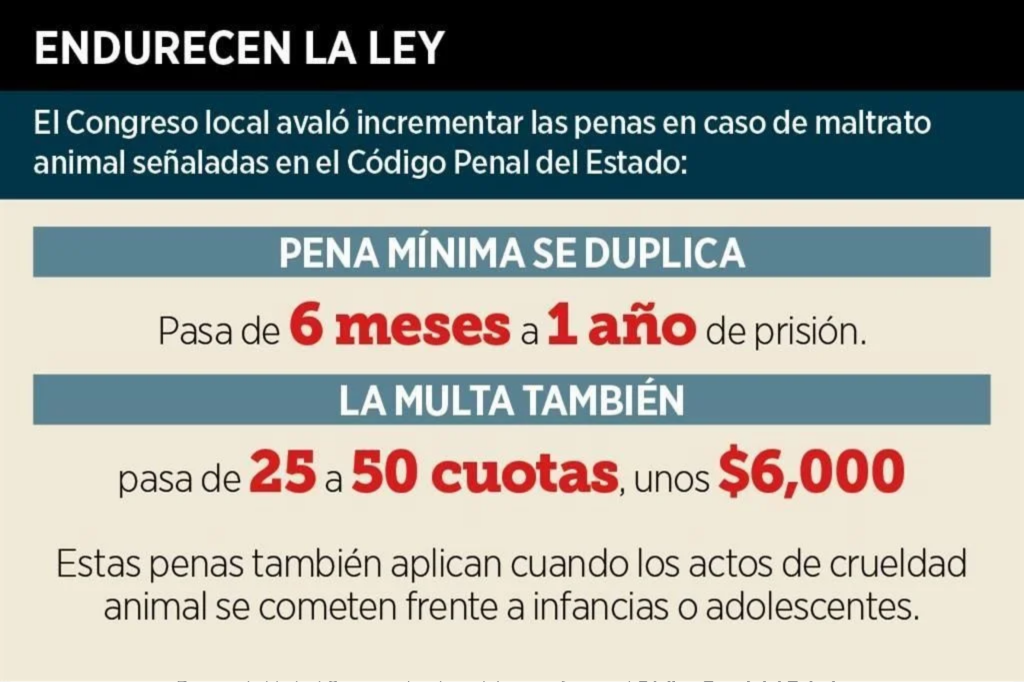 Maltrato-animal - Informe Regio Congreso de nuevo león sanciones penales crueldad animal protección legal bienestar animal maltrato animal diputados