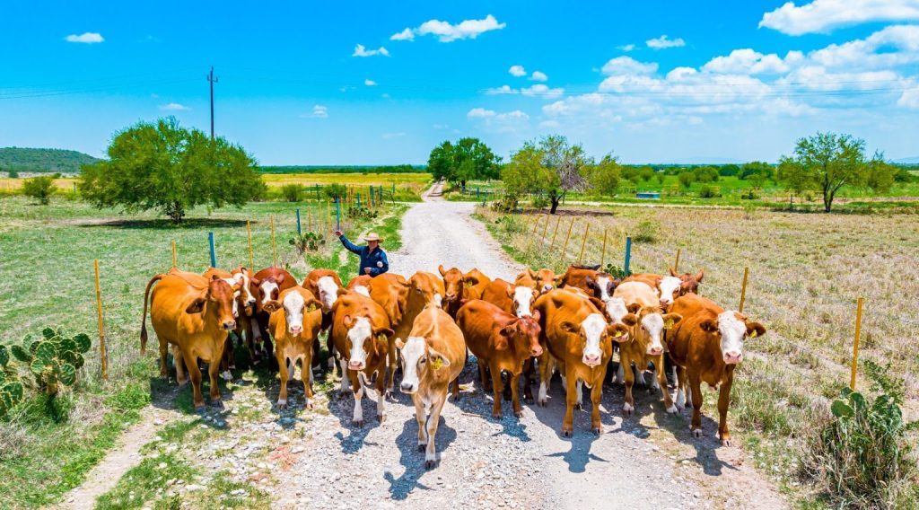 Centro de Nutrición Animal UANL innovación agropecuaria producción pecuaria investigación universitaria