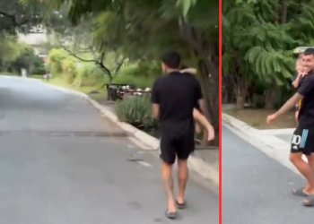 Ángel Correa, Tigres Monterrey, San Pedro, oso, futbolista