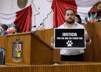 Congreso local, sanciones penales, crueldad animal, protección legal, bienestar animal, maltrato animal