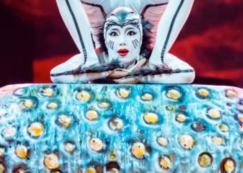 Cirque Du Soleil - Informe Regio Cirque Du Soleil Arena Monterrey gira nacional espectáculo Ovo   Informe Regio