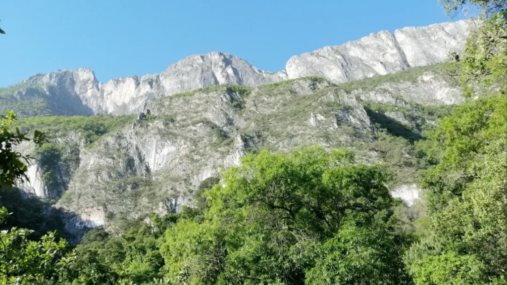 Reserva Natural Chipinqu - Informe Regio Reserva Natural Chipinque Chipinque Nuevo León Parque Ecológico Chipinque Chipinque Monterrey