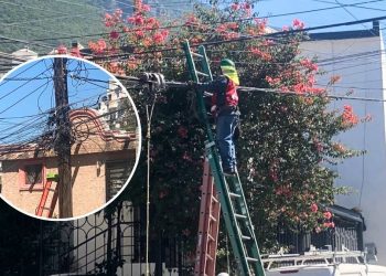 LIMÍEZA DE CABLEADO EN MONTERREY   Informe Regio