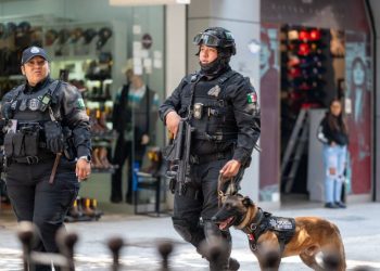 Operativo De Seguridad En Monterrey Buen Fin - Informe Regio BUEN FIN MONTERREY SEGURIDAD Informe Regio