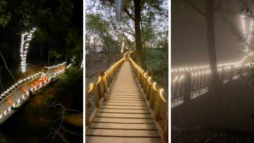 puente iluminado Chipinque Mirador La Peñita luces navideñas