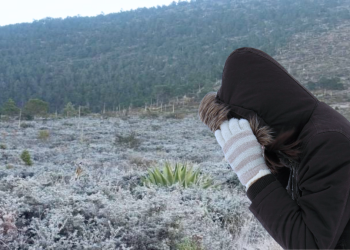 primeras heladas frente frío 13 Protección Civil temperaturas bajas invierno Nuevo León   Informe Regio