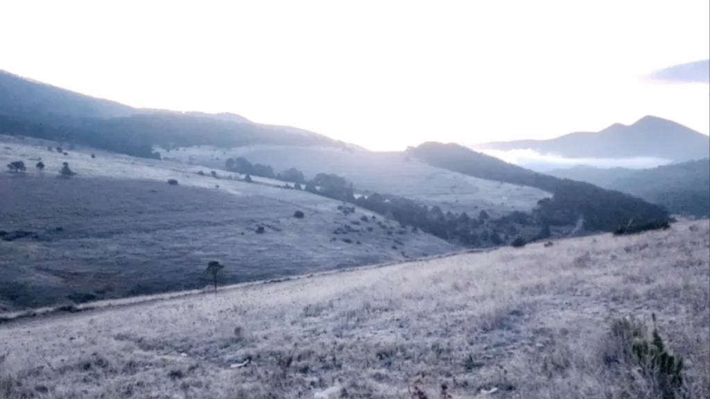 primeras heladas frente frío 13 Protección Civil temperaturas bajas invierno Nuevo León