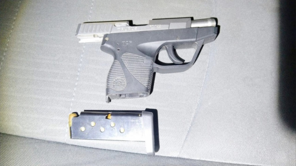 Presunto Líder Delictivo - Informe Regio presunto líder delictivo Los Kamalas Fuerza Civil Policía de Santiago Carretera Nacional