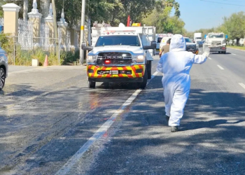 Derrame De Miel - Informe Regio Derrame De Miel Carretera Nacional Protección Civil abejas peligrosas incidente vial Informe Regio