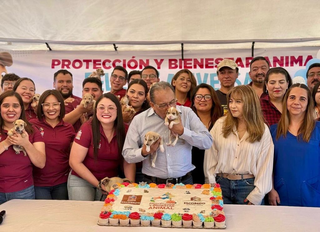 clínica bienestar animal servicios veterinarios adopción responsable cuidado de mascotas esterilización gratuita